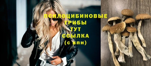 бошки Кодинск