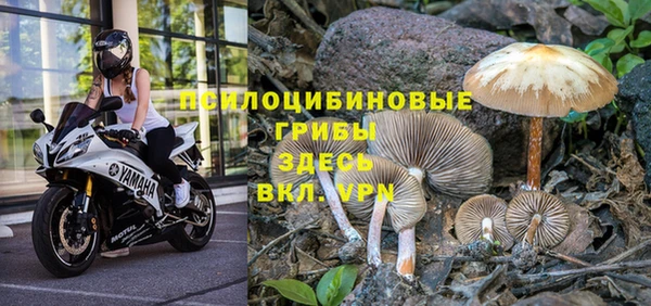 кокаин премиум Козельск