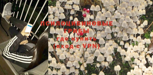 бошки Кодинск