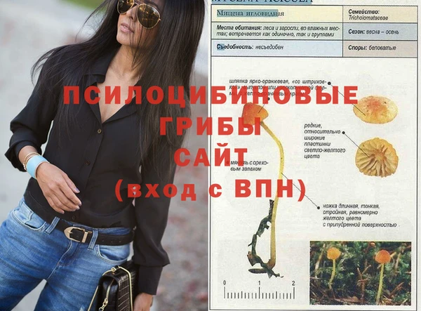 кокаин премиум Козельск