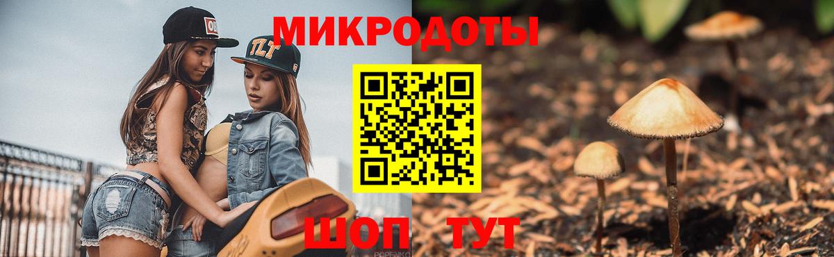 Галлюциногенные грибы мицелий Ростов-на-Дону